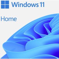 windows-11-home-64bit-dsp-1pk-niederlndisch-dvd