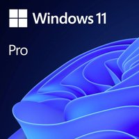 windows-11-pro-64bit-dsp-1pk-franzsisch-dvd