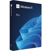 windows-pro-11-64bit-fpp-deutsch-usb