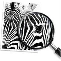 hp-924e-evomore-black-org-ink-cartridge