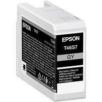 epson-5lb-singlepack-gray-t46s7